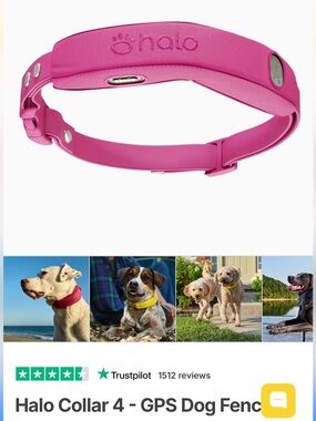 Halo Collar 4 in Orchid